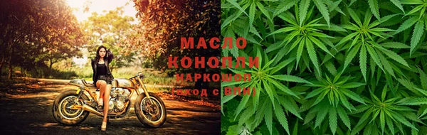 дмт Горняк